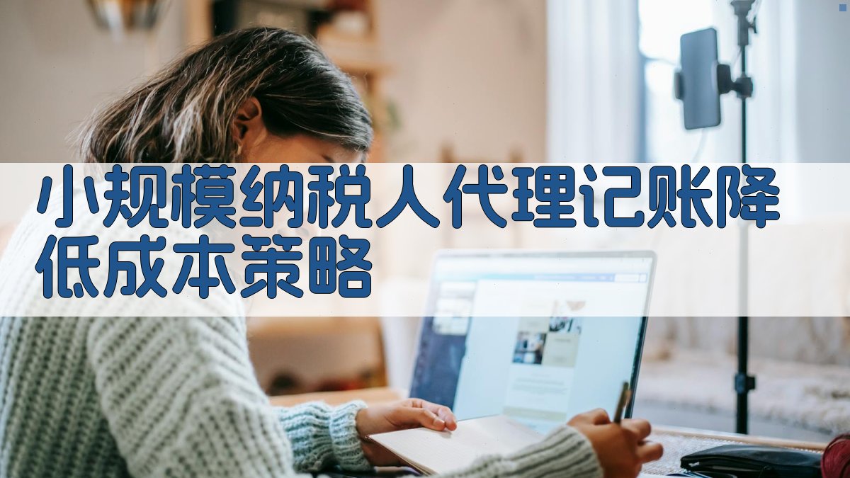 小规模纳税人代理记账降低成本策略 图2
