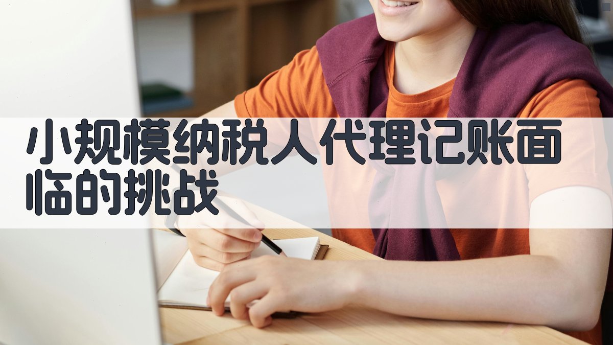 小规模纳税人代理记账面临的挑战 图1