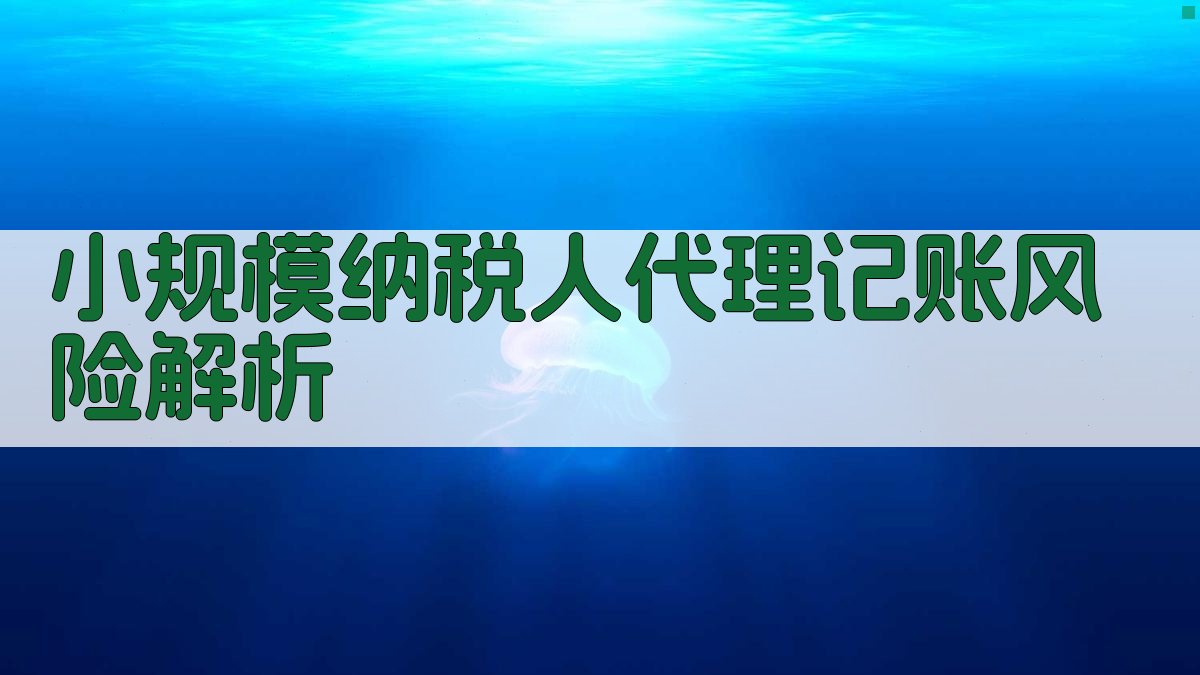 小规模纳税人代理记账风险解析 图1
