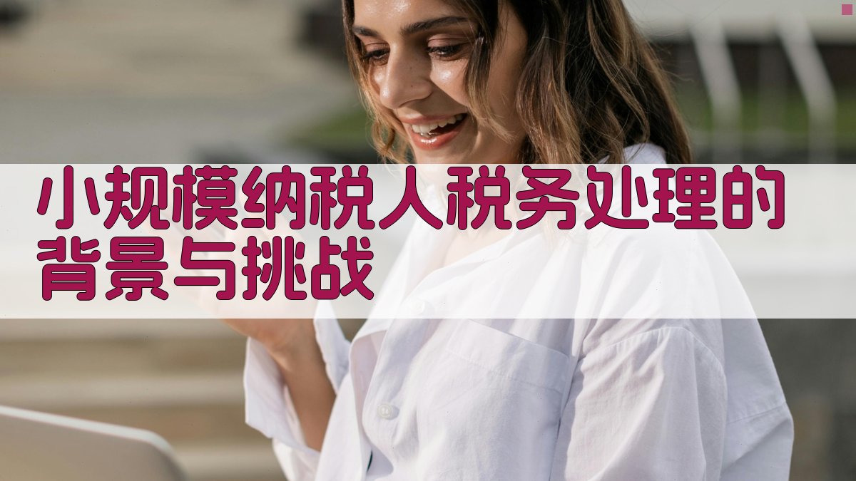小规模纳税人税务处理的背景与挑战 图1