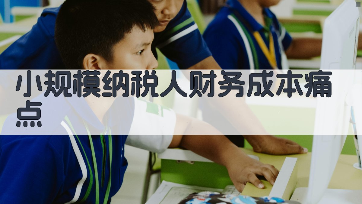 小规模纳税人财务成本痛点 图1