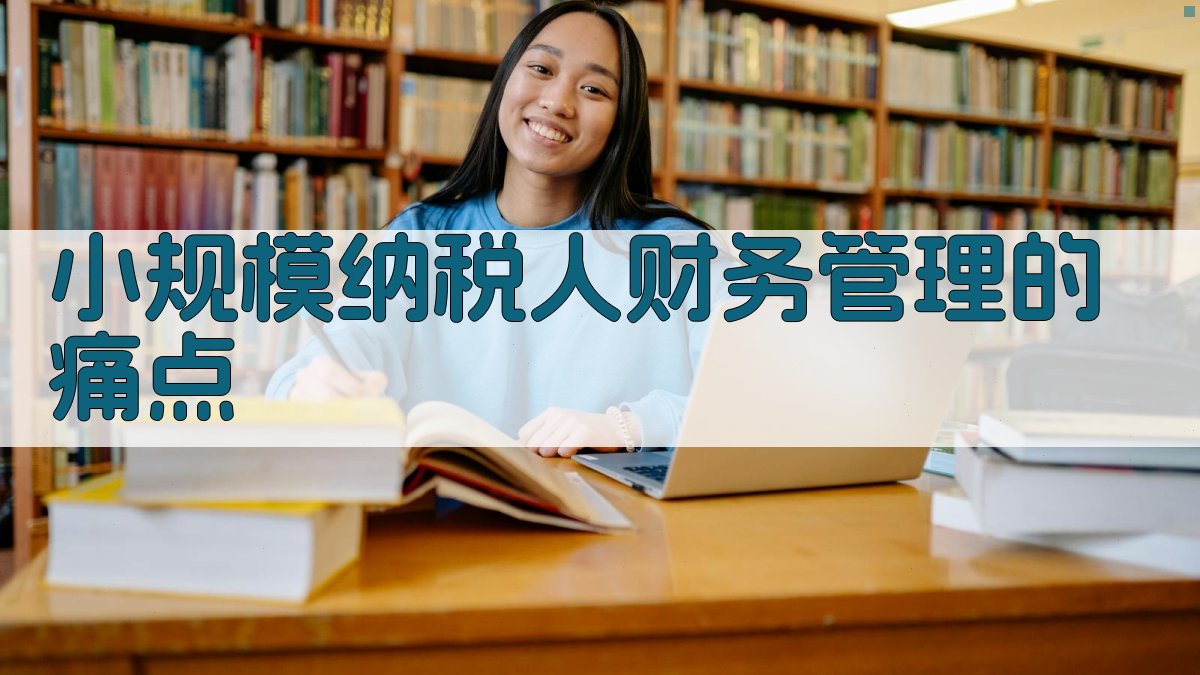 小规模纳税人财务管理的痛点 图1