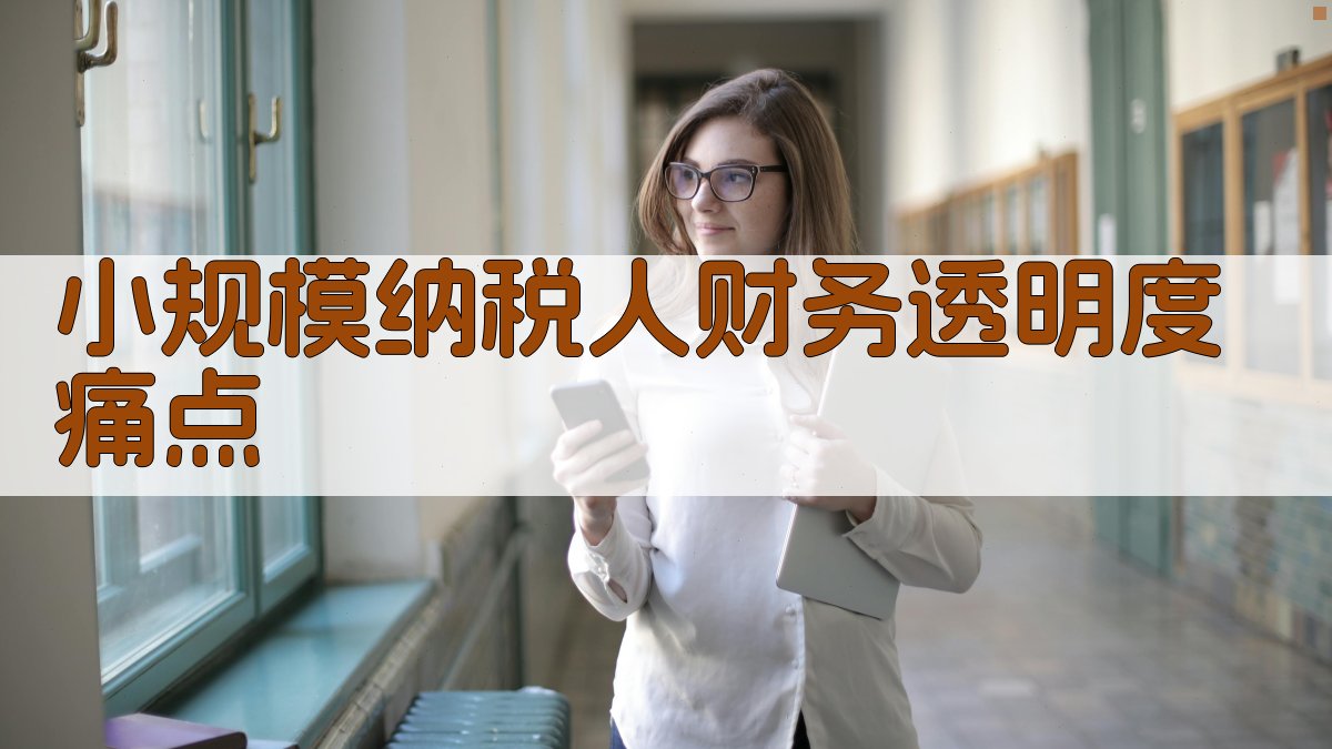 小规模纳税人财务透明度痛点 图1