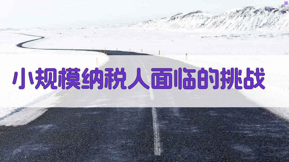 小规模纳税人面临的挑战 图1
