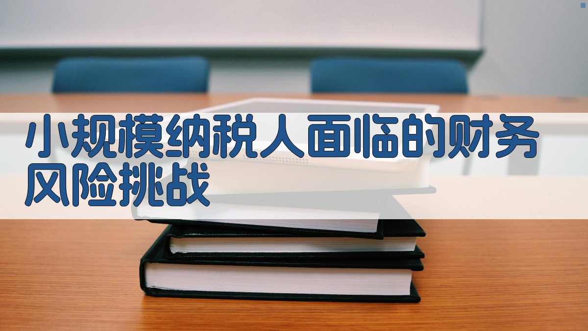 小规模纳税人面临的财务风险挑战 图1