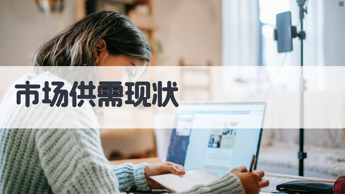 市场供需现状 图1