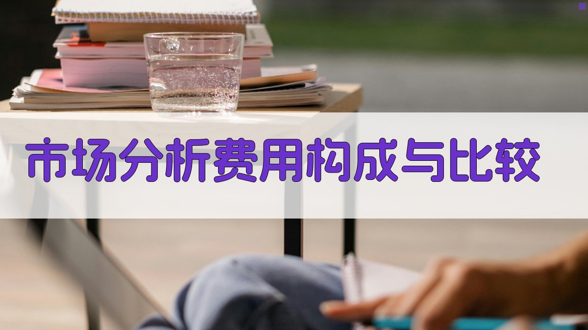 市场分析：费用构成与比较 图1