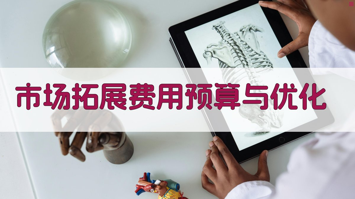 市场拓展费用预算与优化 图5