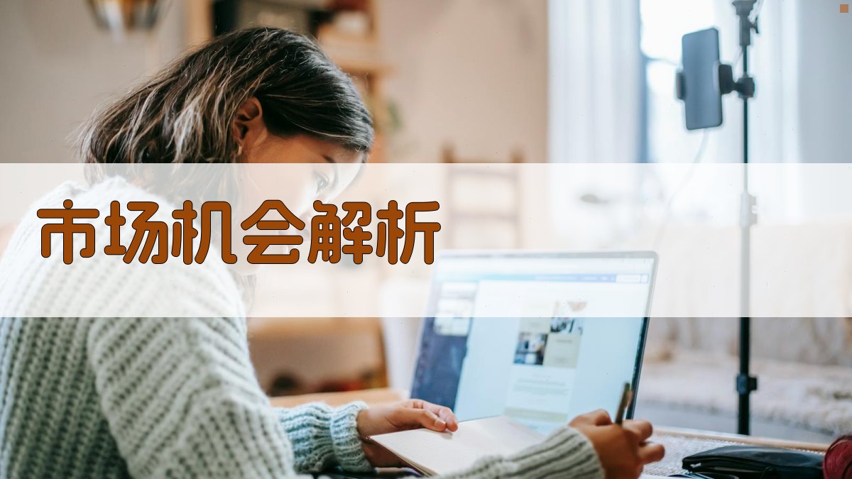 市场机会解析 图2