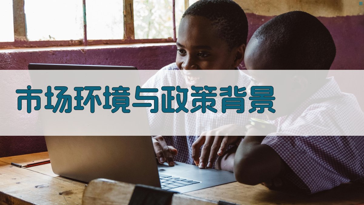 市场环境与政策背景 图1