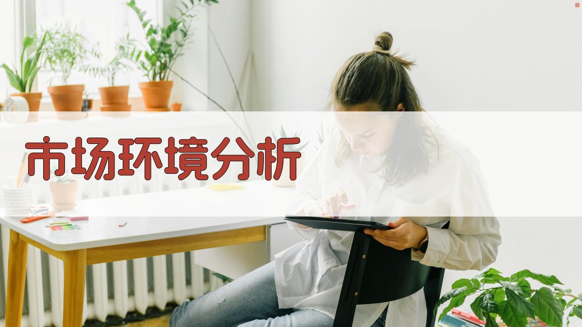 市场环境分析 图2