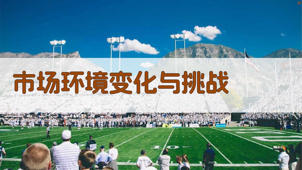 市场环境变化与挑战 图1