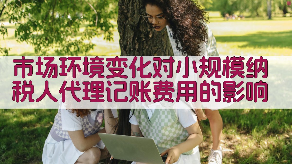 市场环境变化对小规模纳税人代理记账费用的影响 图2