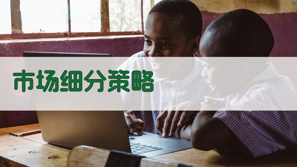 市场细分策略 图2