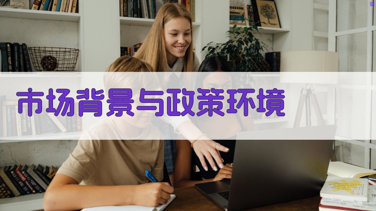 市场背景与政策环境 图1