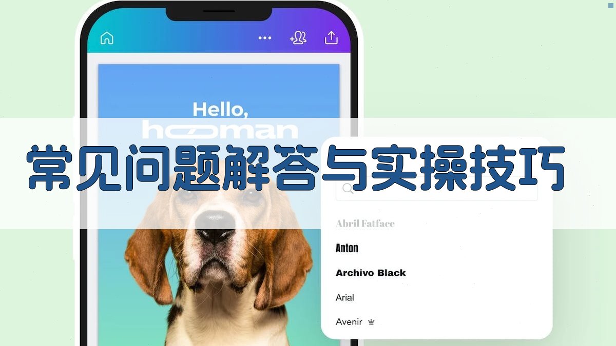 常见问题解答与实操技巧 图3