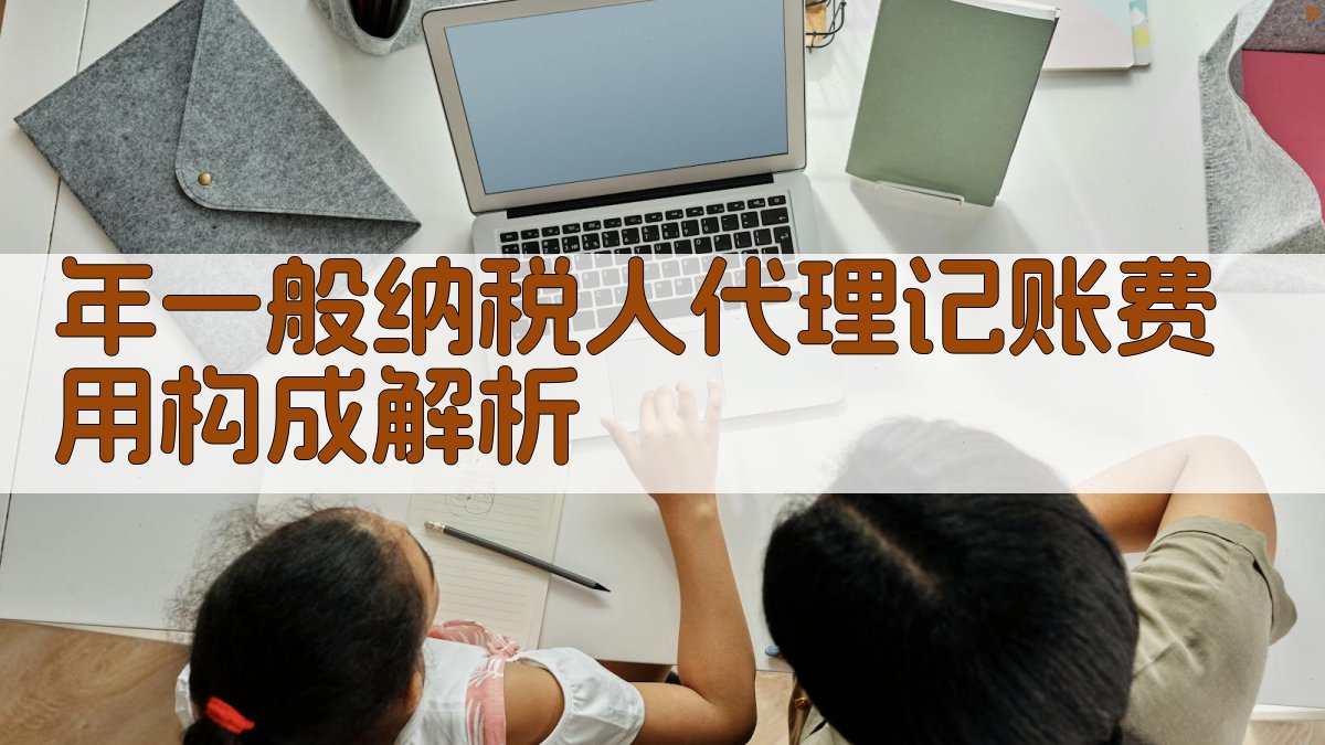 年一般纳税人代理记账费用构成解析 图2