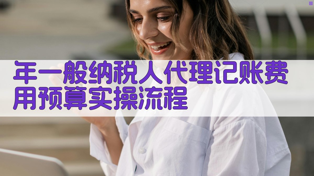 年一般纳税人代理记账费用预算实操流程 图3