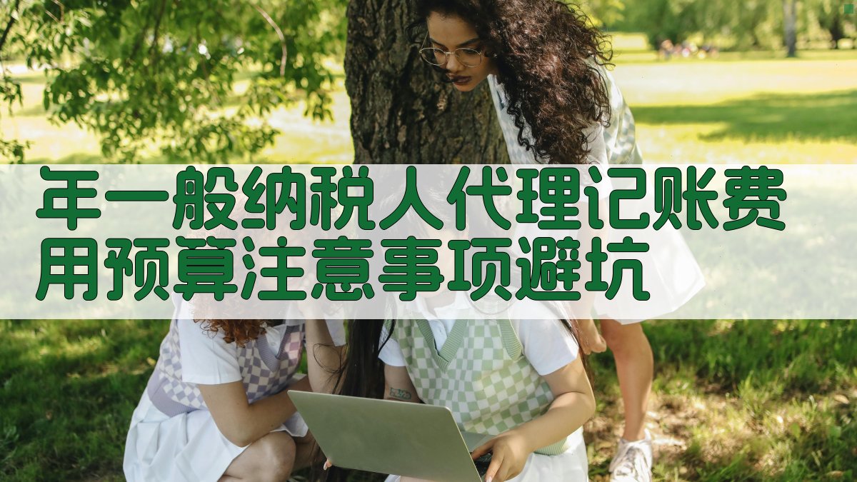 年一般纳税人代理记账费用预算注意事项/避坑 图4