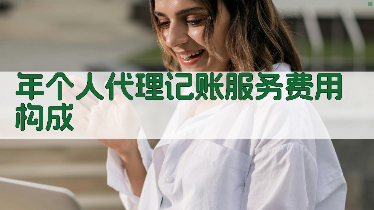 年个人代理记账服务费用构成 图1