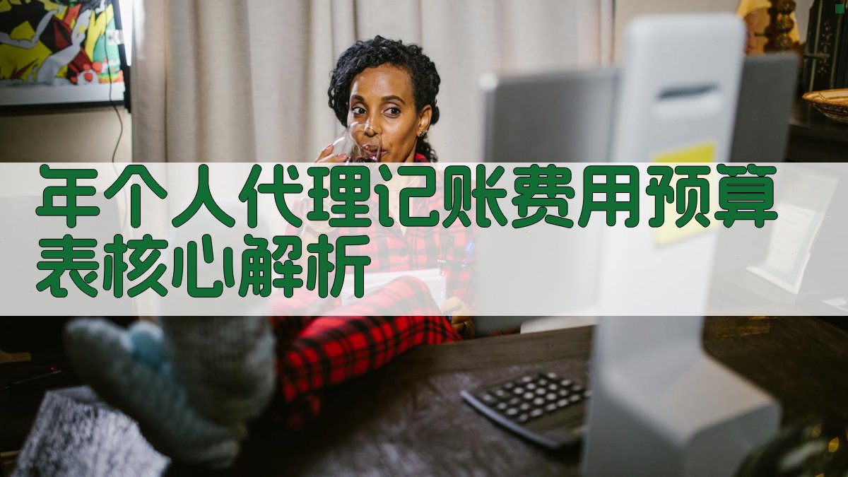 年个人代理记账费用预算表核心解析 图2