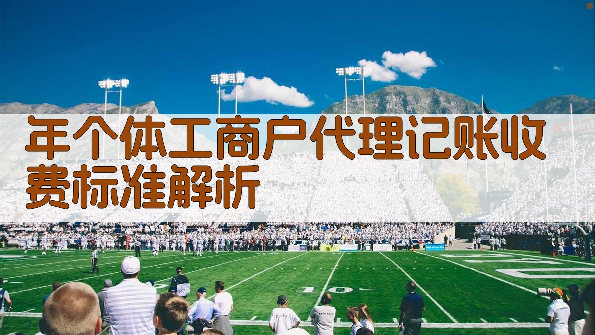 年个体工商户代理记账收费标准解析 图2