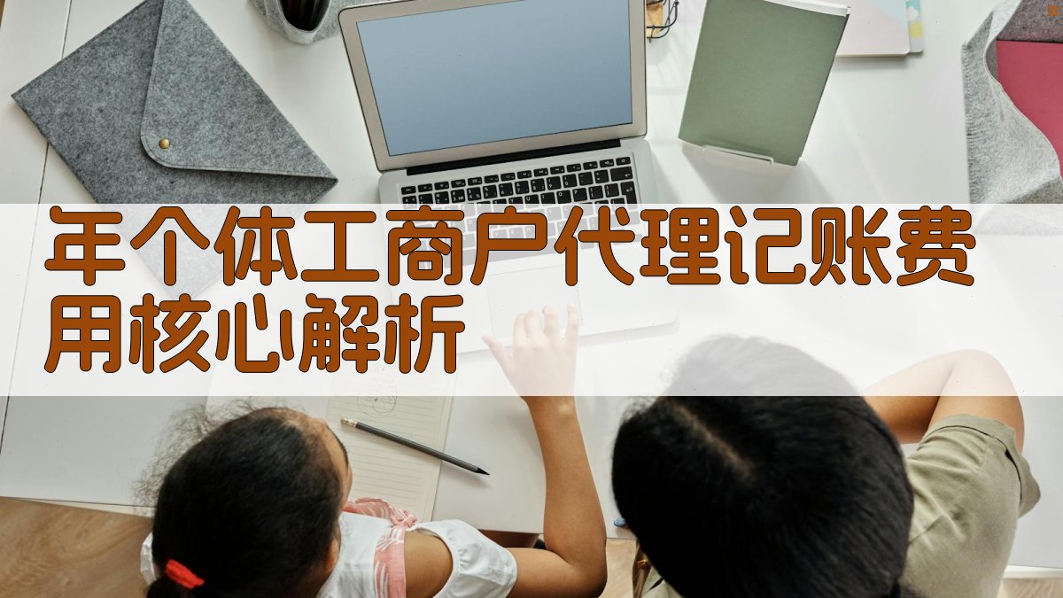 年个体工商户代理记账费用核心解析 图1