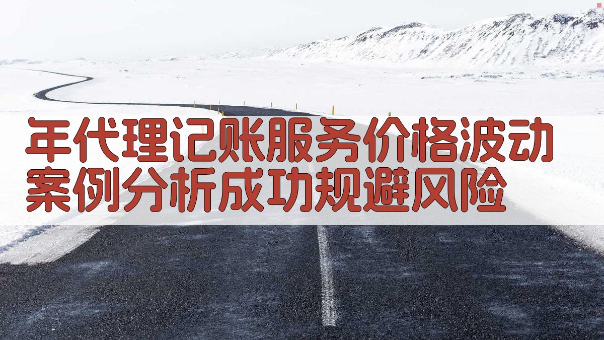 年代理记账服务价格波动案例分析成功规避风险 图4