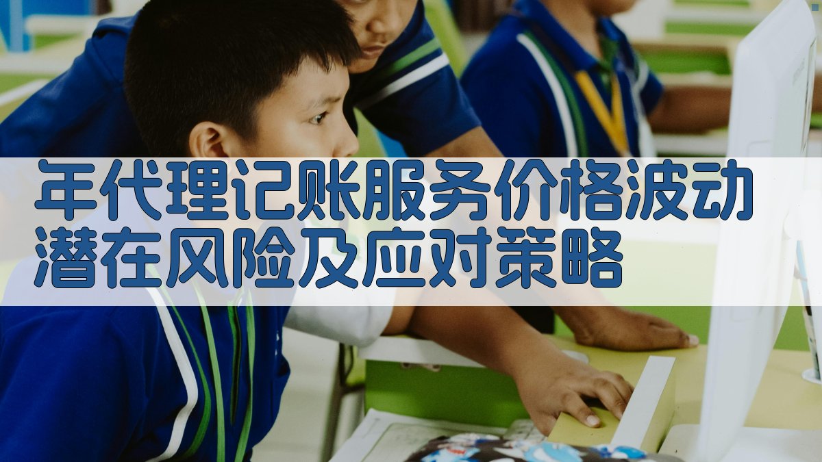 年代理记账服务价格波动潜在风险及应对策略 图3