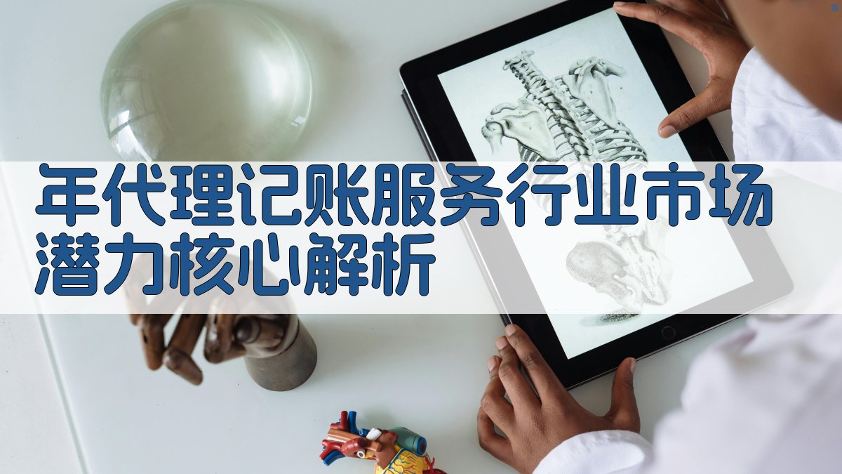 年代理记账服务行业市场潜力核心解析 图1