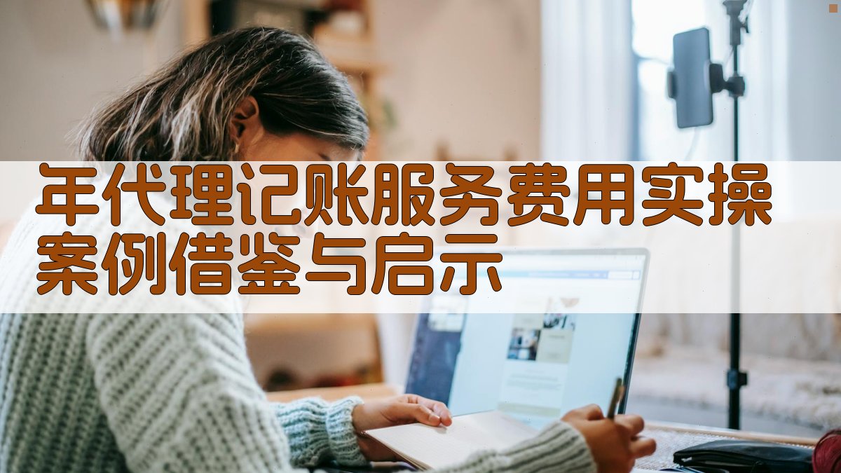 年代理记账服务费用实操案例借鉴与启示 图4