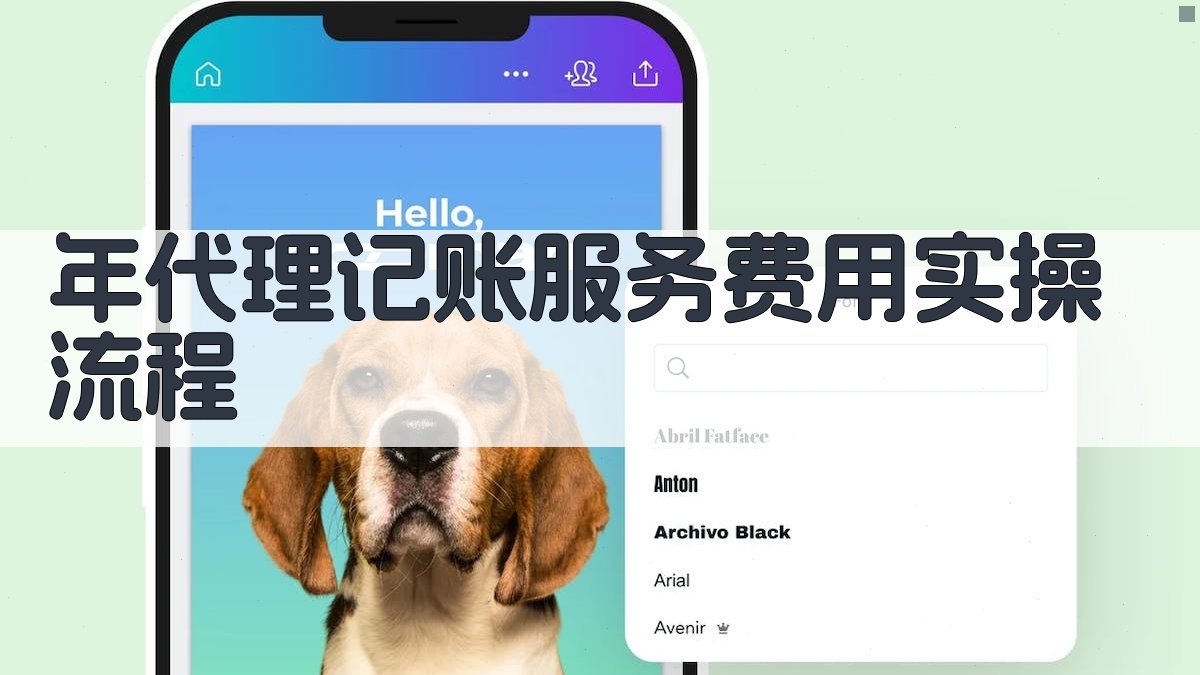 年代理记账服务费用实操流程 图2