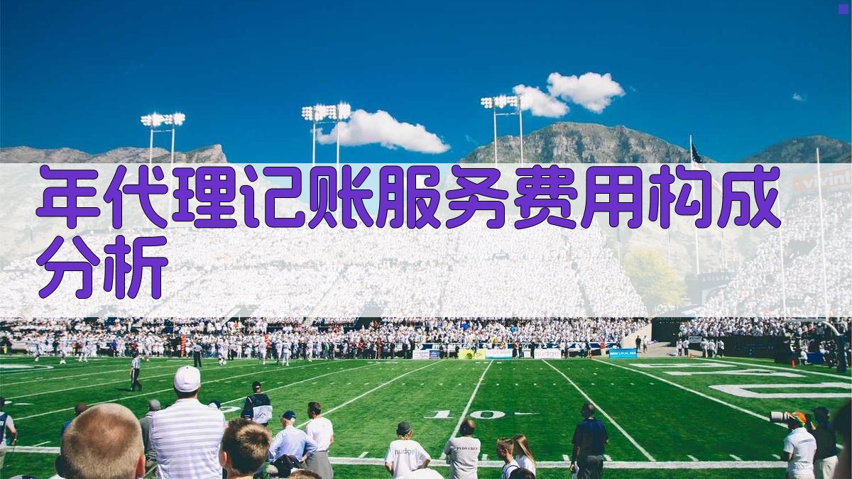 年代理记账服务费用构成分析 图3