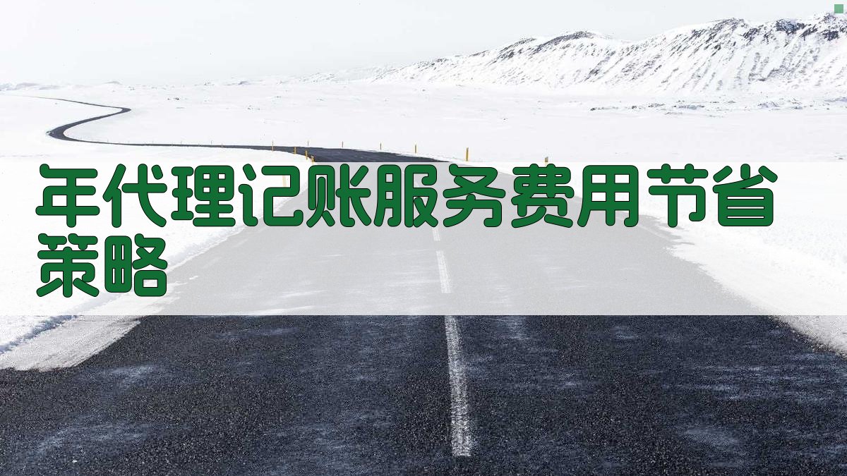 年代理记账服务费用节省策略 图3