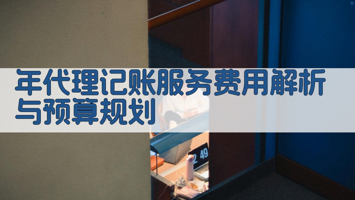 年代理记账服务费用解析与预算规划 图2