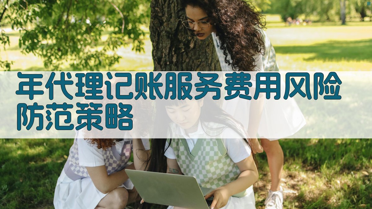 年代理记账服务费用风险防范策略 图3