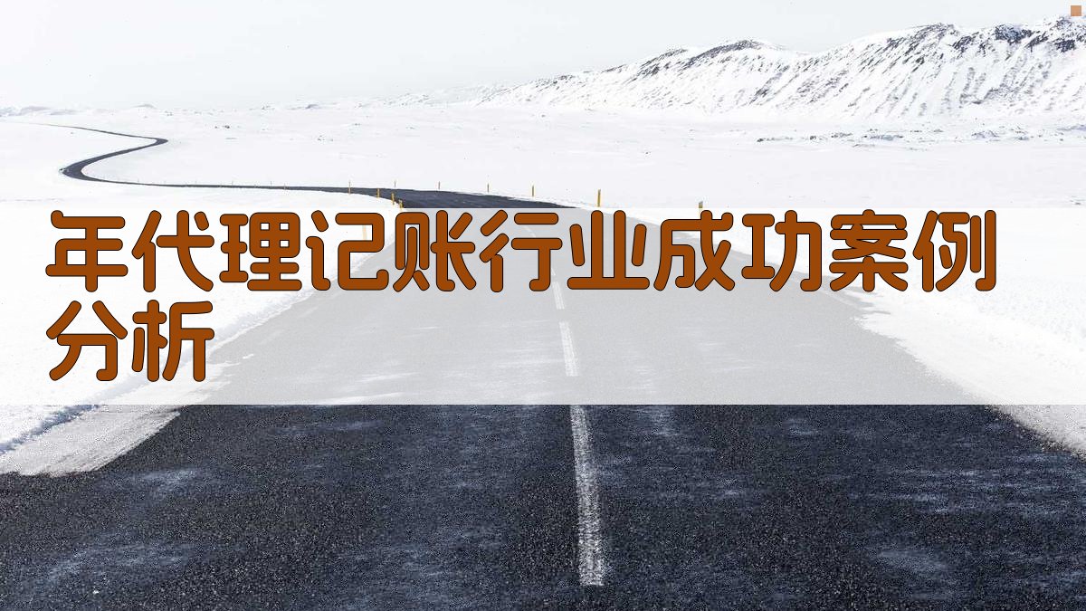 年代理记账行业成功案例分析 图4