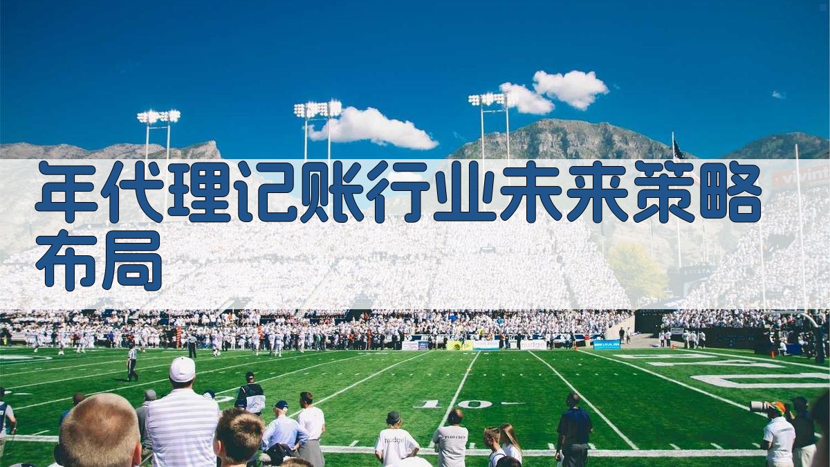 年代理记账行业未来策略布局 图4