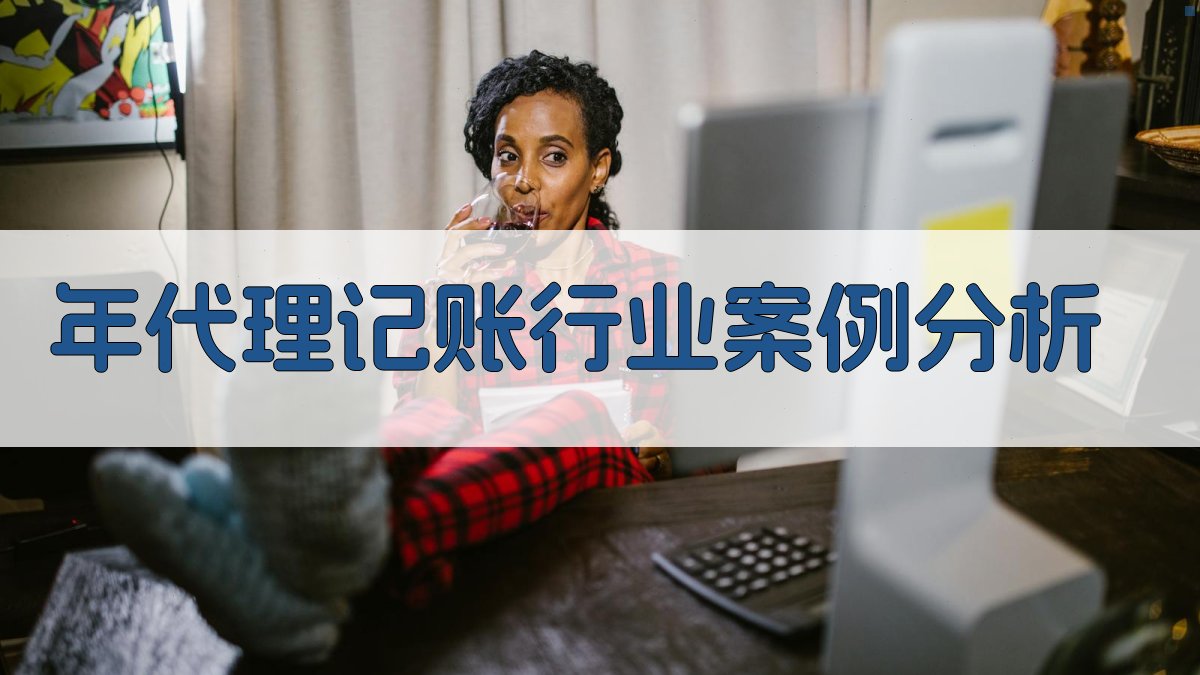 年代理记账行业案例分析 图5