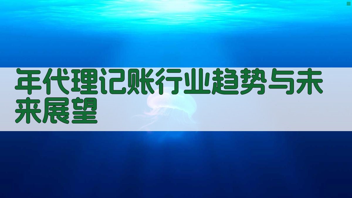 年代理记账行业趋势与未来展望 图5
