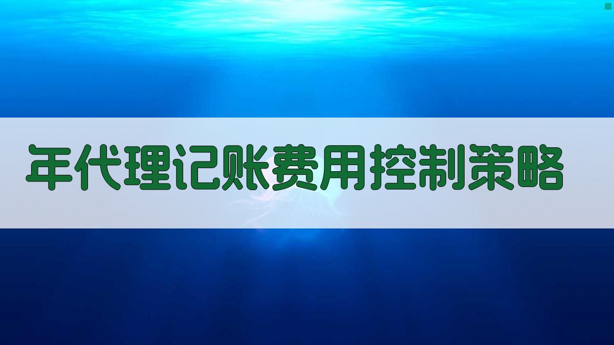 年代理记账费用控制策略 图3