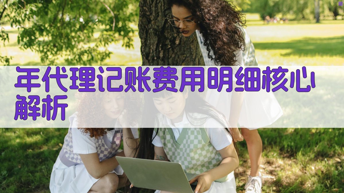 年代理记账费用明细核心解析 图2