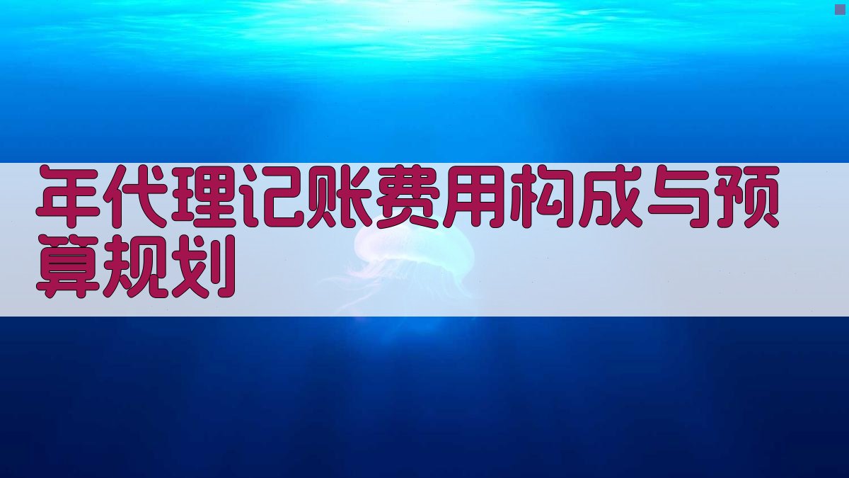 年代理记账费用构成与预算规划 图3