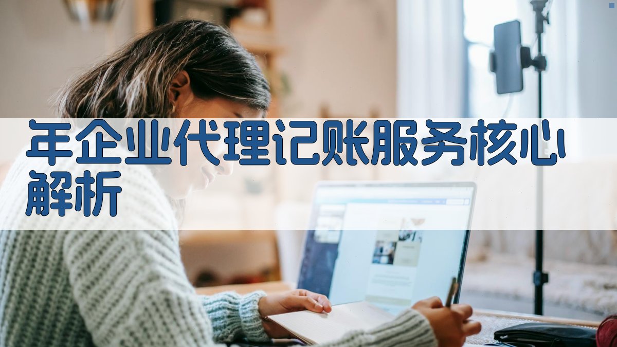 年企业代理记账服务核心解析 图2