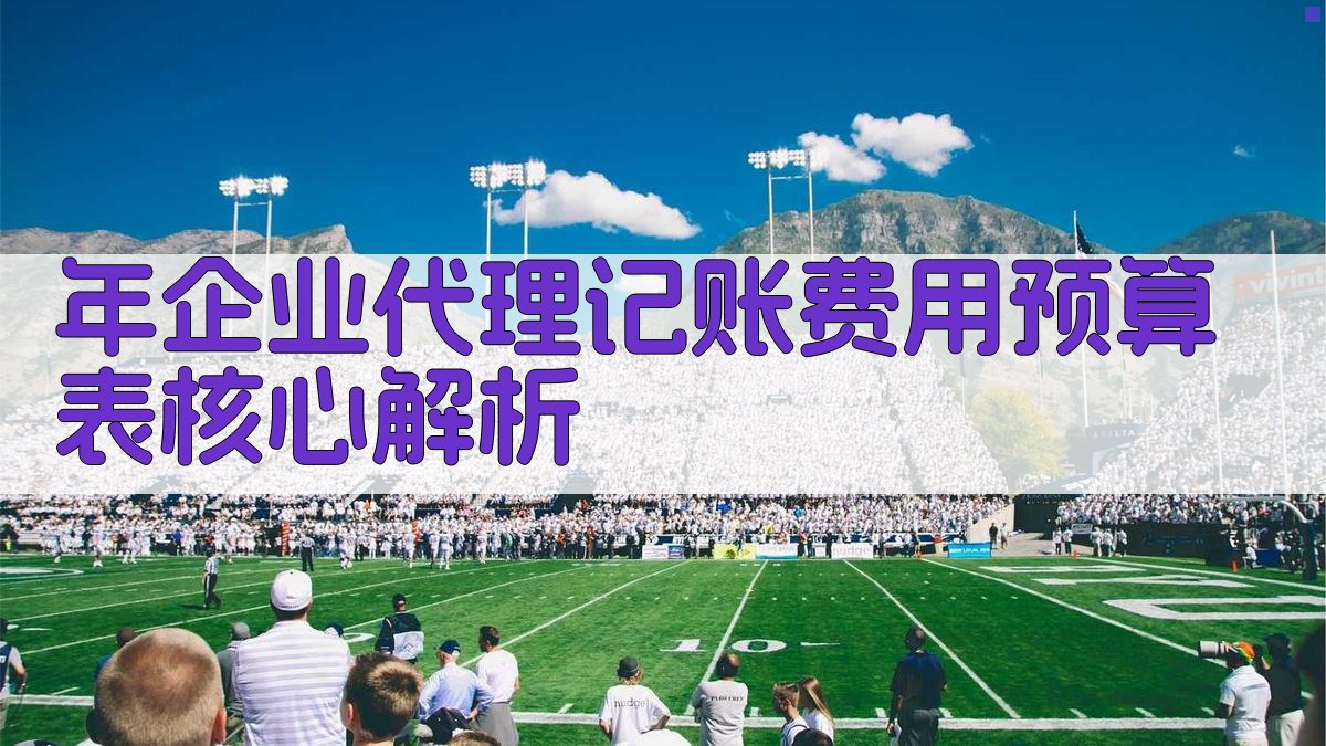 年企业代理记账费用预算表核心解析 图2