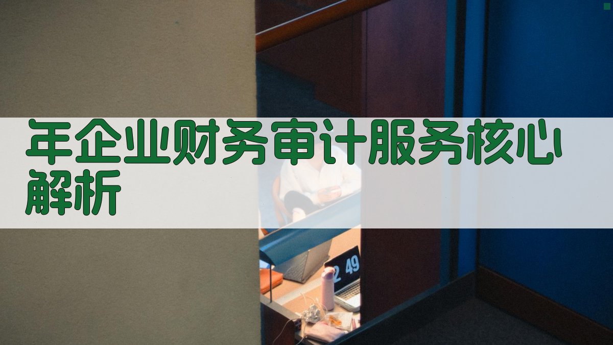 年企业财务审计服务核心解析 图2