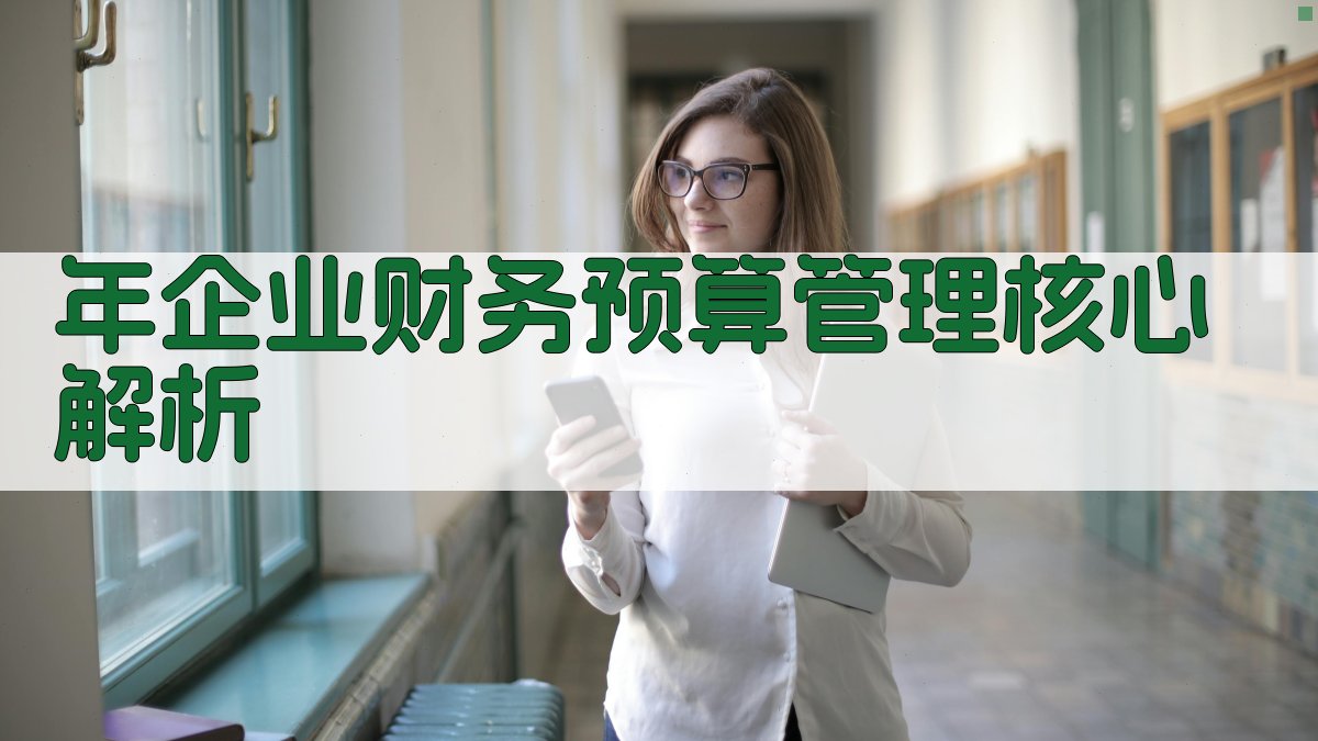年企业财务预算管理核心解析 图2
