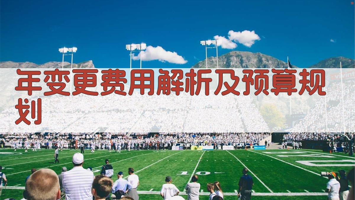 年变更费用解析及预算规划 图2