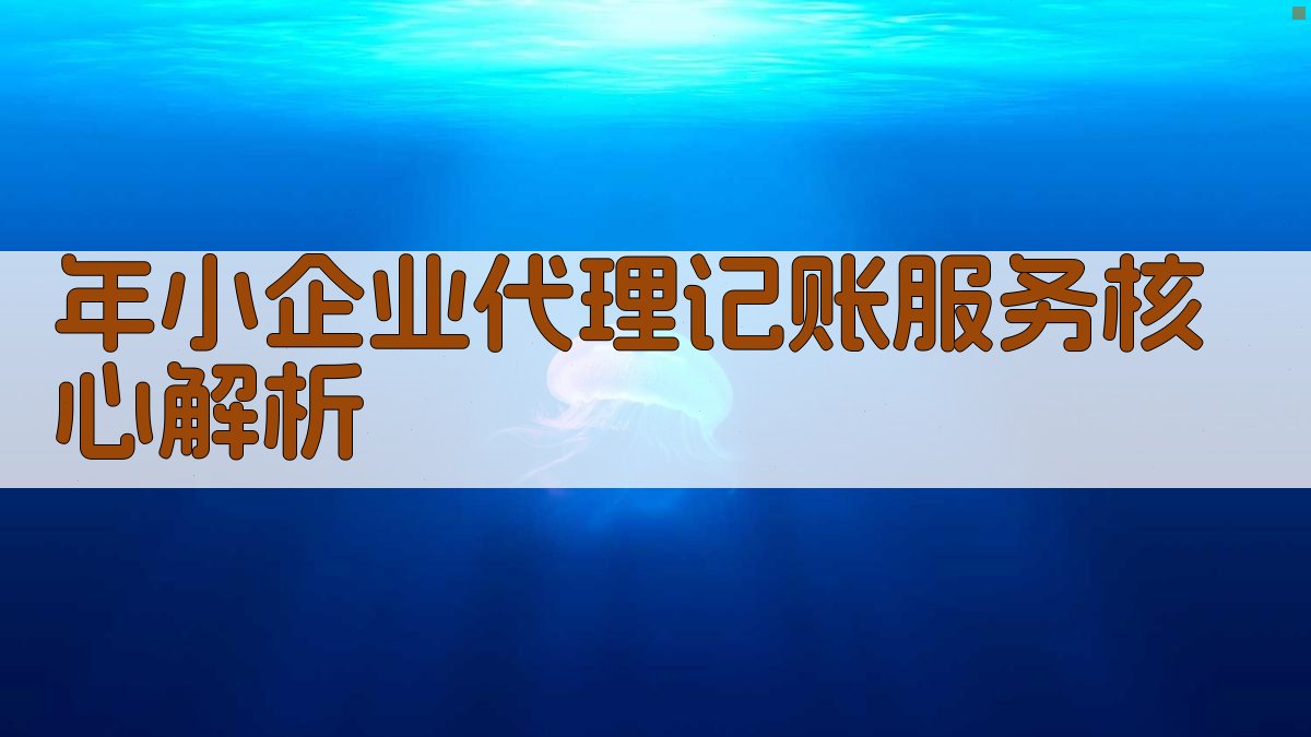 年小企业代理记账服务核心解析 图1