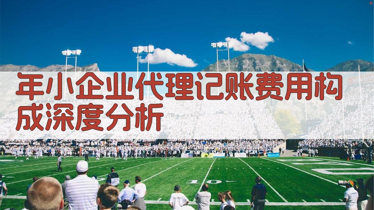 年小企业代理记账费用构成深度分析 图3